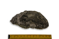 F 02005
<br/>
<br/>
<em></em>